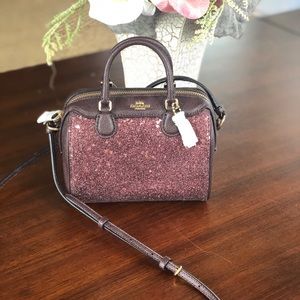 🎁Raspberry Coach Glitter Mini🎁